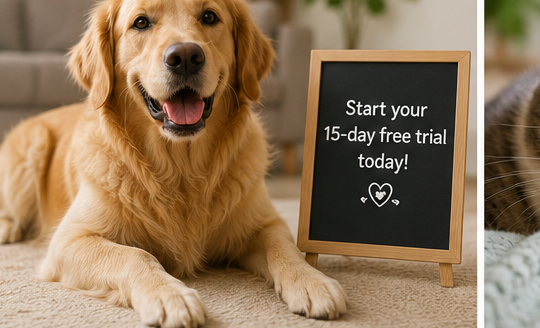 A happy golden retriever beside a start your free trial sign